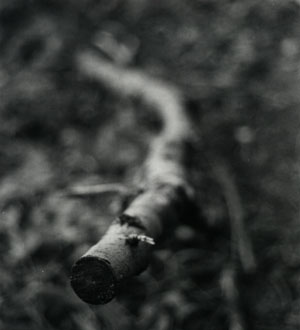 Branch1